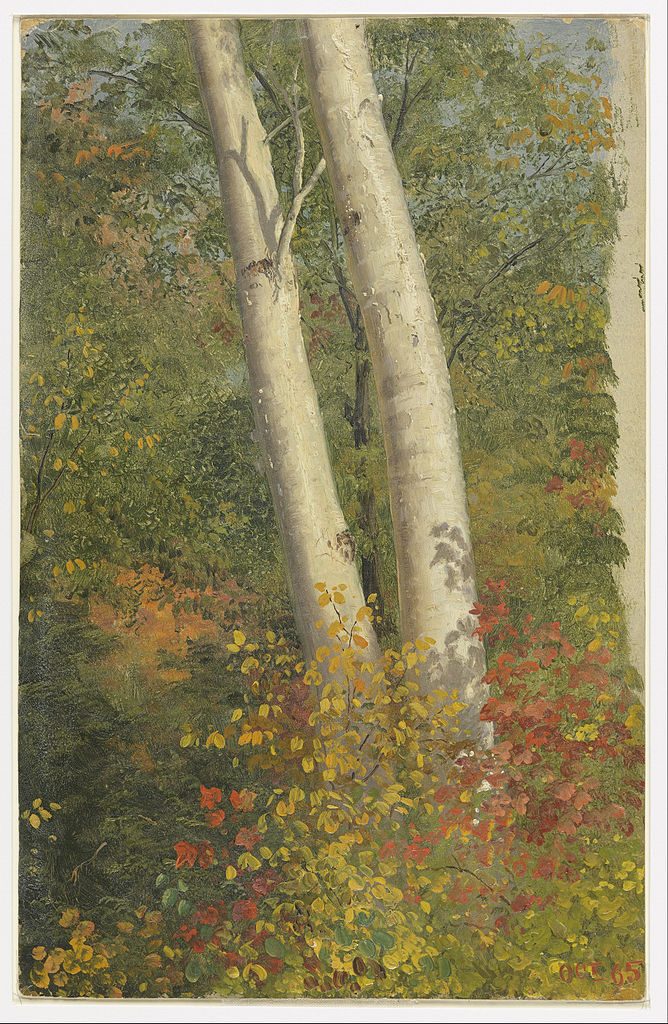 Birch Trees in Autumn - 1865
